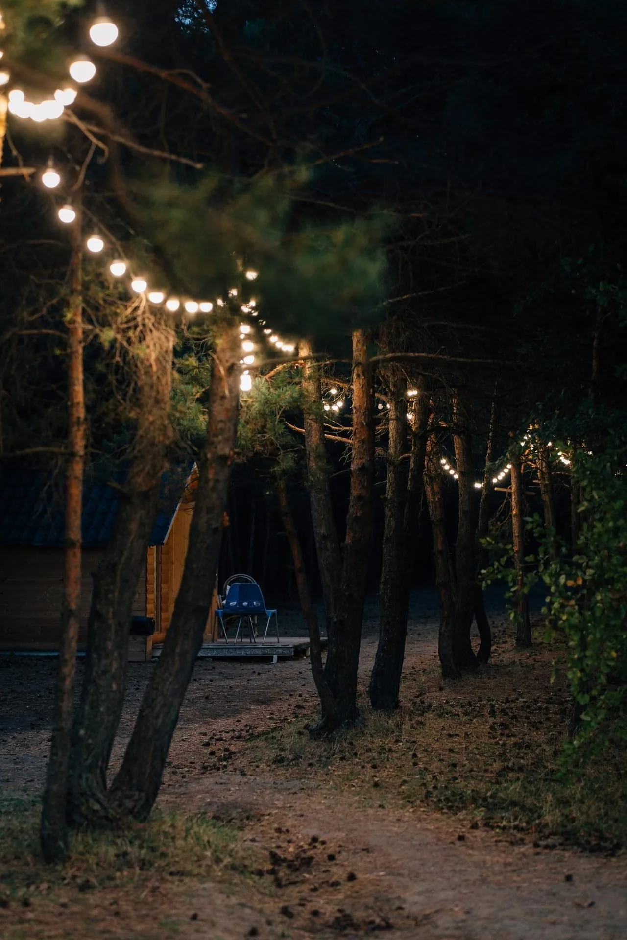 A garden path lit by both a solar lantern and a traditional wired lamp, shown side by side